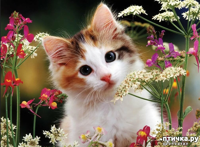 ���� 5: ���� ������!