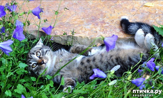 ���� 6: ���� ������!