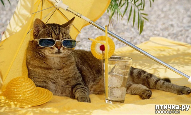 ���� 10: ���� ������!