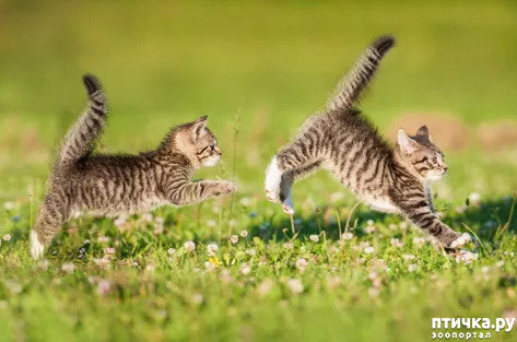 ���� 11: ���� ������!