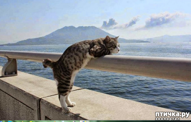 ���� 12: ���� ������!