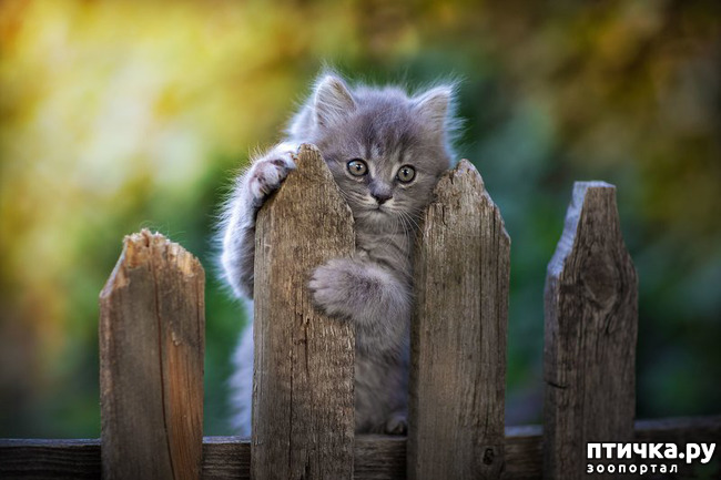 ���� 15: ���� ������!