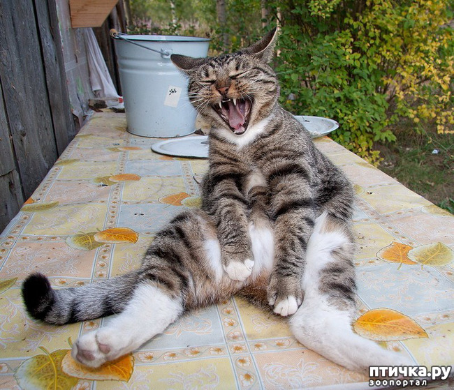 ���� 13: ���� ������!