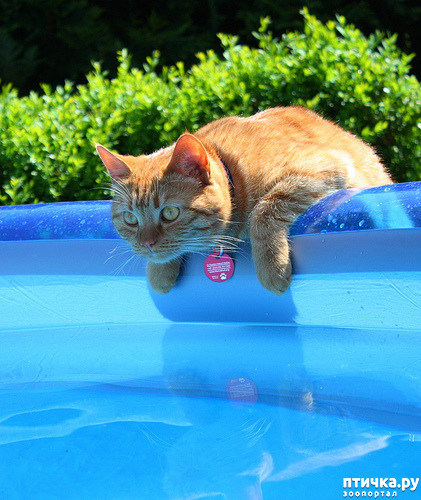 ���� 16: ���� ������!