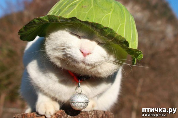 ���� 18: ���� ������!