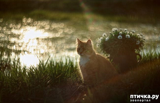 ���� 19: ���� ������!