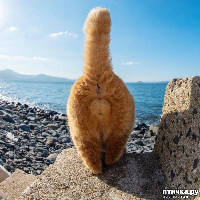 ���� 20: ���� ������!