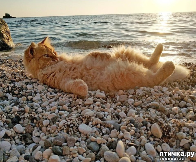 ���� 21: ���� ������!