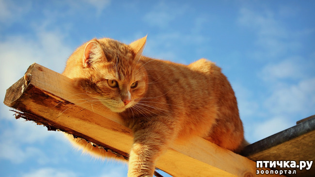 ���� 22: ���� ������!