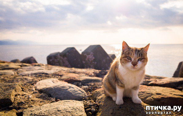 ���� 24: ���� ������!