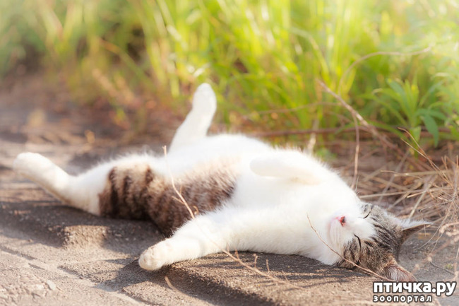 ���� 25: ���� ������!