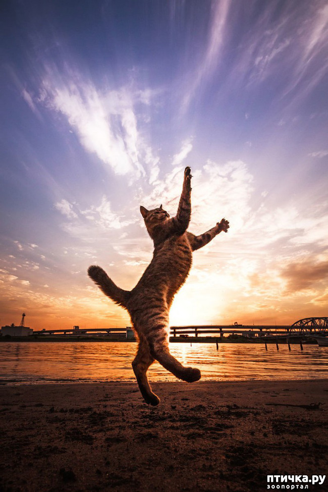 ���� 26: ���� ������!