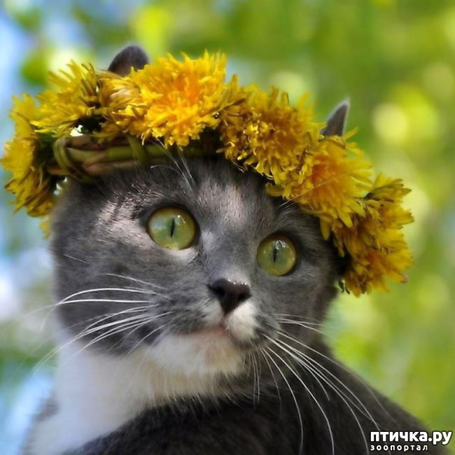 ���� 2: ���� ������!