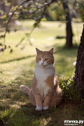 ���� 3: ���� ������!