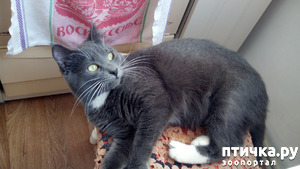 ����: � ���������� ����!