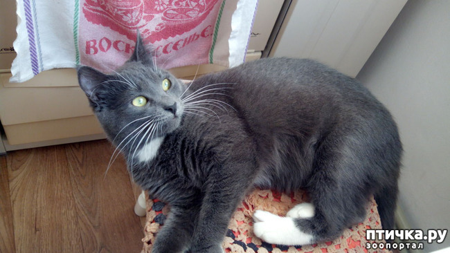 ���� 1: � ���������� ����!