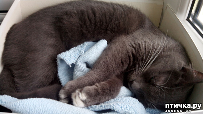 ���� 2: � ���������� ����!