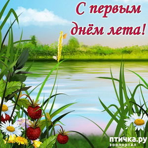 ����: ���� ������!