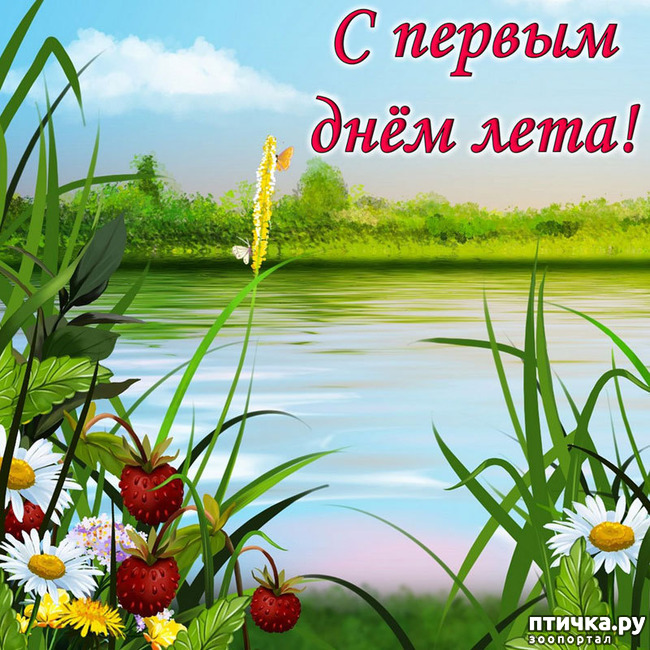 ���� 1: ���� ������!