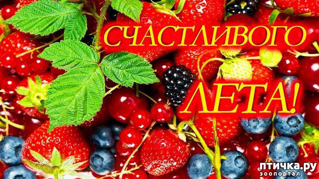 ���� 28: ���� ������!