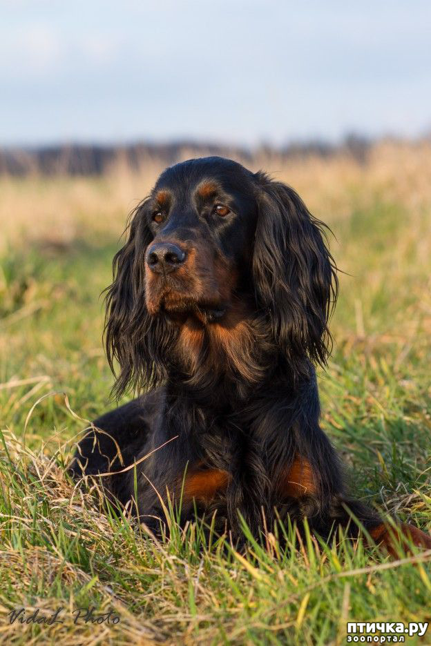 ���� 1: �������� ������������ �������. ������