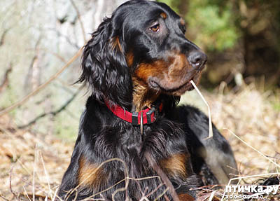 ���� 2: �������� ������������ �������. ������