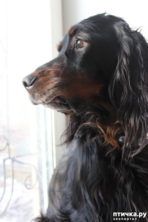 ���� 3: �������� ������������ �������. ������