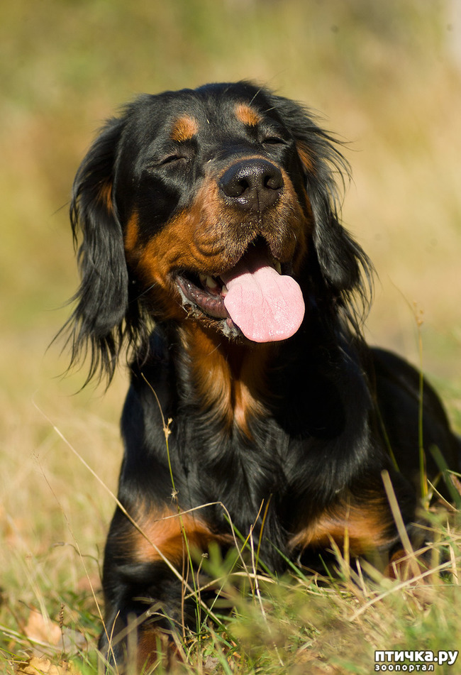 ���� 4: �������� ������������ �������. ������