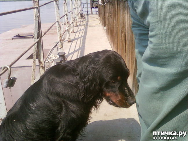 ���� 8: �������� ������������ �������. ������