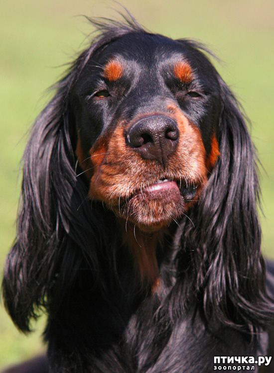 ���� 11: �������� ������������ �������. ������