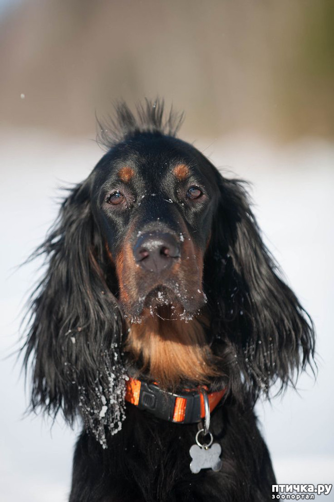 ���� 5: �������� ������������ �������. ������