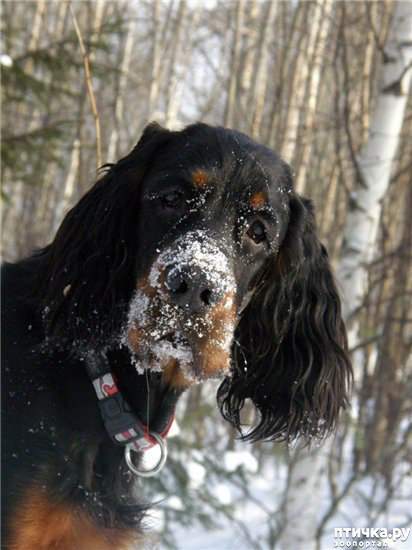 ���� 7: �������� ������������ �������. ������