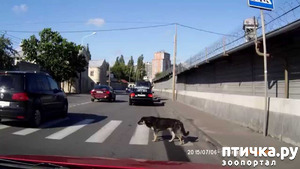 ����: ���������...