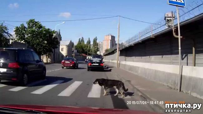 ���� 1: ���������...