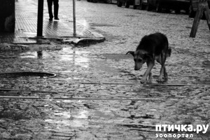 ����: ������� ���. ��������� ������.