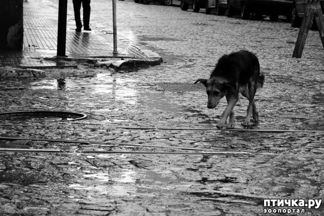 ���� 1: ������� ���. ��������� ������.