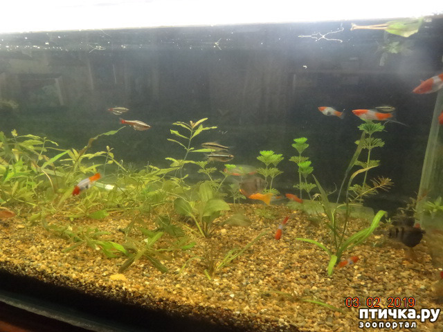 ���� 1: ������ ��������������� � �������