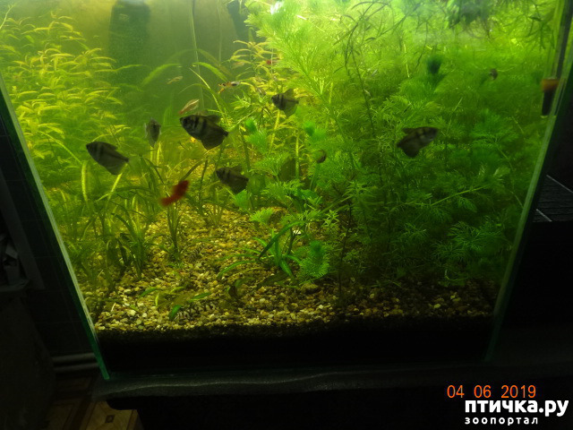 ���� 3: ������ ��������������� � �������