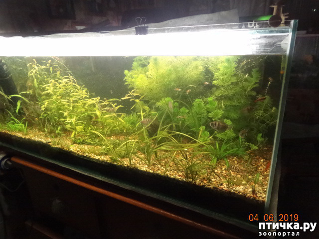 ���� 2: ������ ��������������� � �������