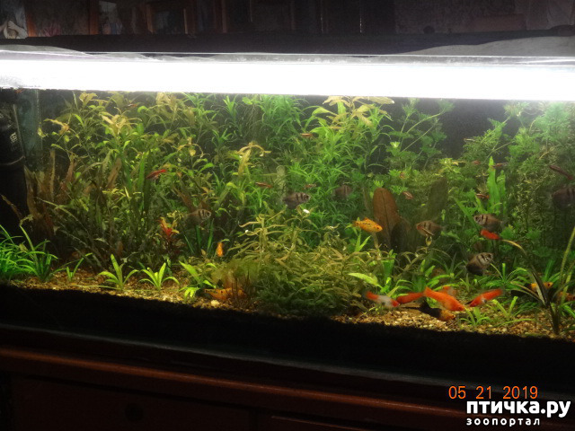 ���� 4: ������ ��������������� � �������