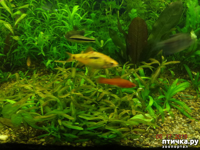 ���� 5: ������ ��������������� � �������