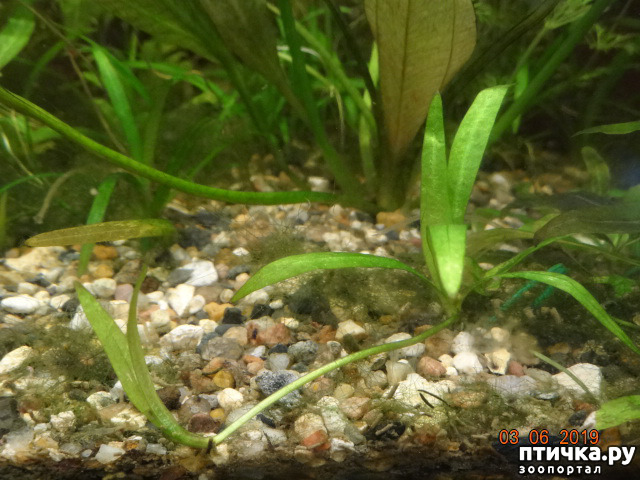 ���� 6: ������ ��������������� � �������