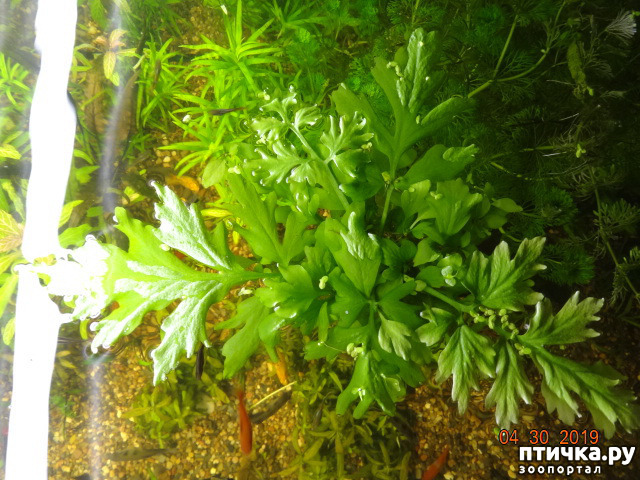 ���� 7: ������ ��������������� � �������