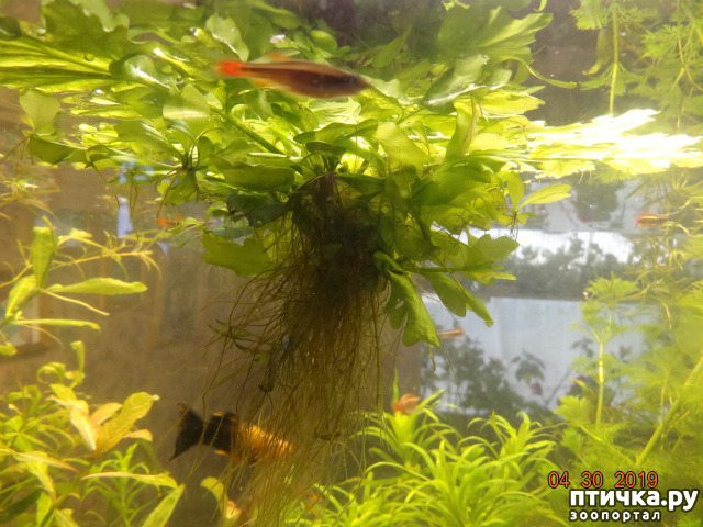 ���� 8: ������ ��������������� � �������