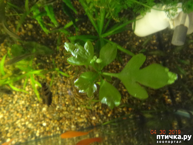 ���� 9: ������ ��������������� � �������