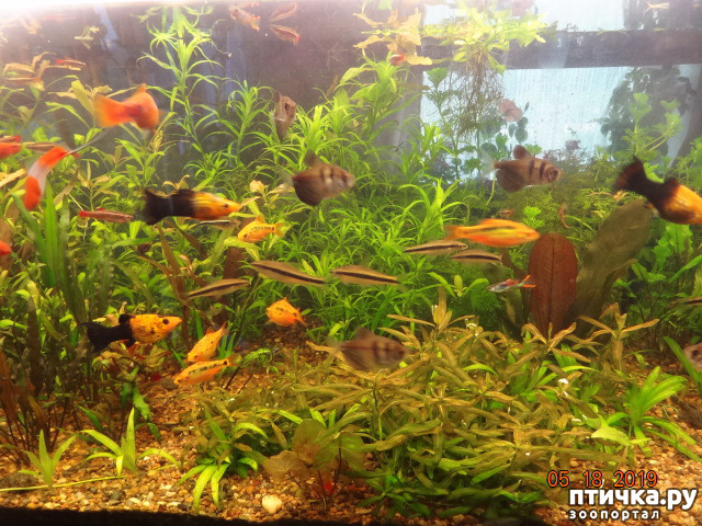 ���� 10: ������ ��������������� � �������