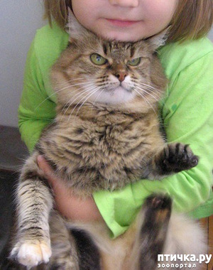 ����: ��������� ����� � "������� �� ��������"