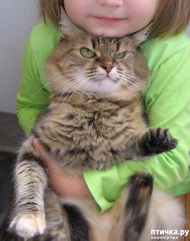 ���� 1: ��������� ����� � 