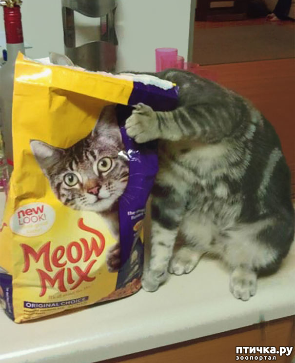 ���� 3: ����-�������. ������ ����������.