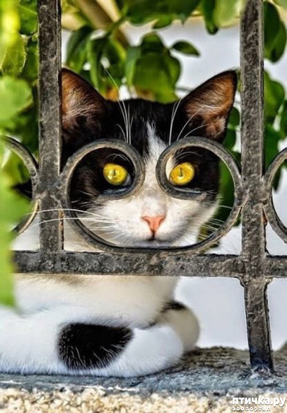 ���� 8: ����-�������. ������ ����������.